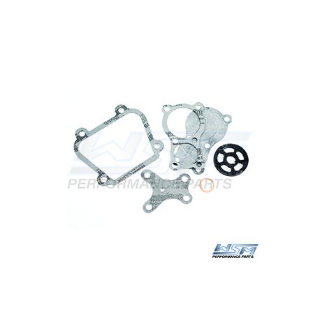 Fuel Pump Repair Kit: Chrysler / Force 20 - 150 Hp
