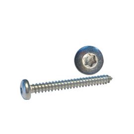 Skrue Panhoved 5,5 x 25 A4 Torx ISO14585 100stk