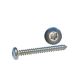 Skrue Panhoved 5.5 x 19 A4 Torx ISO14585 10stk
