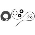 Johnson / Evinrude 6 Hp Lower Unit Seal Kit