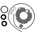 Johnson / Evinrude 9.5 / 10 Hp Lower Unit Seal Kit