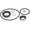 Johnson / Evinrude 40 Hp 1962-1970 Electric Shift Models Lower Unit Seal Kit