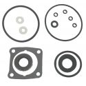 Johnson / Evinrude 60-90 Hp Lower Unit Seal Kit