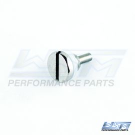 Johnson / Evinrude 4-8 / 40-300 Hp Lower Fill Drain Screw Magnetic