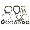 Johnson / Evinrude 35-75 Hp Lower Seal Kit