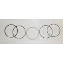 Piston Rings: Honda 250 TRX 97-22 1mm Over