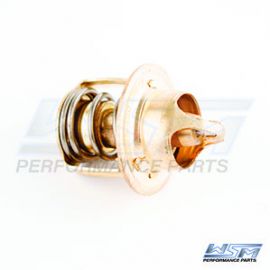 Chrysler / Johnson / Evinrude 55-135 hk termostat 143a ° f
