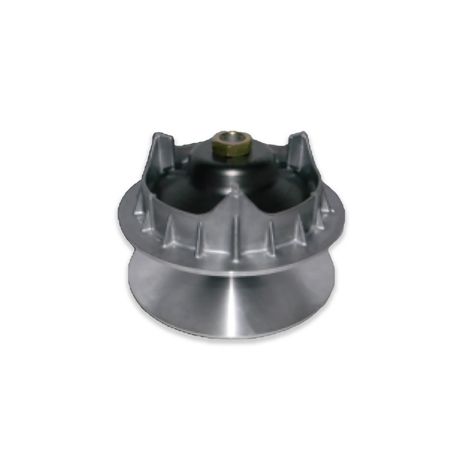 CV09000015