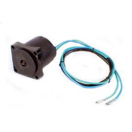 Johnson / Evinrude 130 / 200-250 Hp Tilt / Trim Motor
