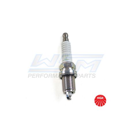 ZFR4F11