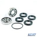 Kawasaki 300-550 Bearing Housing Repair Kit