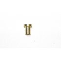 Mikuni Brass Carburetor Plug