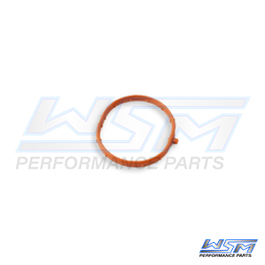 Plenum O-Ring: Yamaha 1050 16-22 - 6EY141260000S