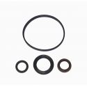 Sea-Doo 951 DI Power Valve Rebuild Kit Reduced