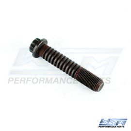 Sea-Doo 1503 vevstake bult