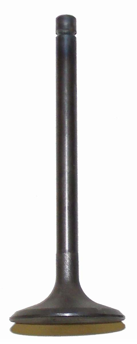 Kawasaki 200-300 indsugningsventil - 120041006