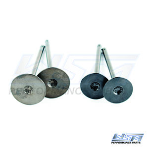 Engine Valve Kit: Polaris 550 Sportsman 09-14 - 017402
