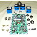 Chrysler / Force 120 Hp Rebuild Kit .010 Over (Bottom Guided)