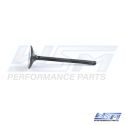 Exhaust Valve: Yamaha 150 - 300 Hp 4-Stroke 13-21
