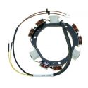 Johnson / Evinrude 65-75 hk 6 amp stator