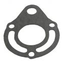 Johnson / Evinrude Manifold Endkappe Dichtung