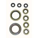 Oil Seals (Crankshaft)