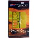 Mercury 75/90/115 PS Optimax DFI Reeds