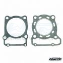 Top End Dichtsatz Kawasaki 250 KLX 94-14