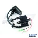 Ignition Coils