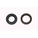 Oil Seals (Crankshaft)