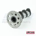 Yamaha 450 YFZ 2004-2009 Stage 3 Intake Cam Shaft
