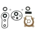 Johnson / Evinrude / Suzuki 40-60 Hp 4-Stroke Lower Unit Seal Kit