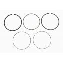 Piston Rings: Honda 680 TRX 06-22 Std.