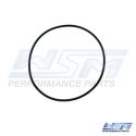 Johnson / Evinrude / OMC75-300 Hp O-Ring
