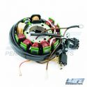 Polaris 500 stator assy