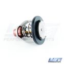 Thermostats & Related Items