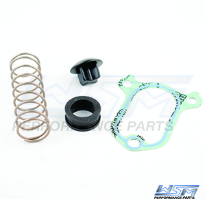 Poppet Valve Kit: Mercury / Yamaha 4-Stroke - 785205