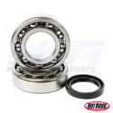 Kawasaki / Suzuki 250 Crank Bearing & Seal Kit