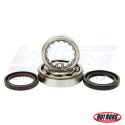 Honda 250 CRF-R / CRF-X Crank Bearing & Seal Kit