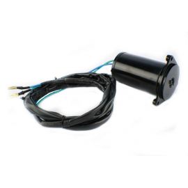 Johnson / Evinrude 50-300 PS Neigungs- / Trimmmotor