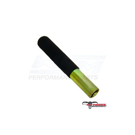 PPVT2896
