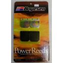 Kawasaki 1100 / 1200 Stock Motor Pro Reeds