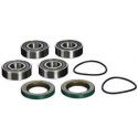 Polaris 250-500 Front Wheel Bearing Kit