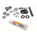 Suzuki 250 Quadracer 1985-1986 Linkage Bearing Kit