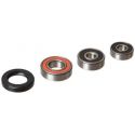 Kawasaki / Suzuki 110 Rear Wheel Bearing Kit