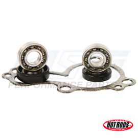 Kawasaki 450 Wasserpumpe Rebuild Kit