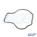 Crankcase Cover O-Ring: Yamaha 1050 16-21