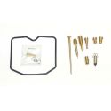 Arctic Cat 250 förgasare kit