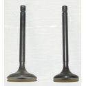 Yamaha 125 Breeze / Grizzly Engine Valve Kit
