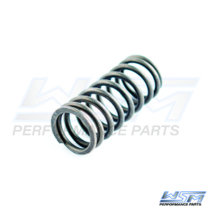 Valve Spring: Yamaha 75 - 115 Hp 4-Stroke 99-11 - 67F121140000